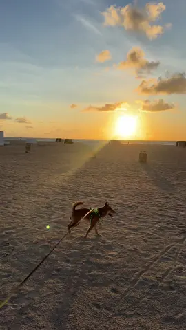 Mi rey hermoso😍🥹❤️ #fypシ゚viral #foryourpage 