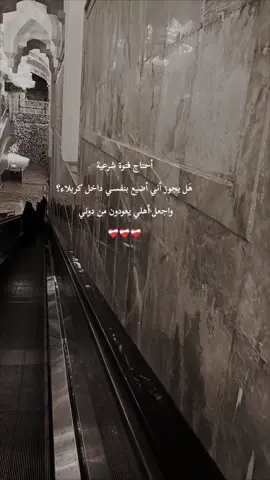#باسم_الكربلائي_سلطان_المنبر_الحسيني 
