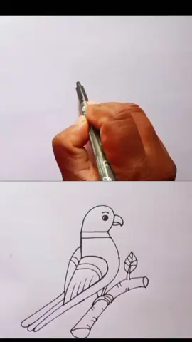 parrot drawing with 5 number | parrot drawing art from number 5 | parrot drawing simple #parrot #vairal #easy #tranding #drawing032393 #fyp #fouryou #unitedstates 