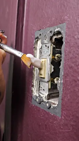 Ornate Lion Light Switch Plate 🦁