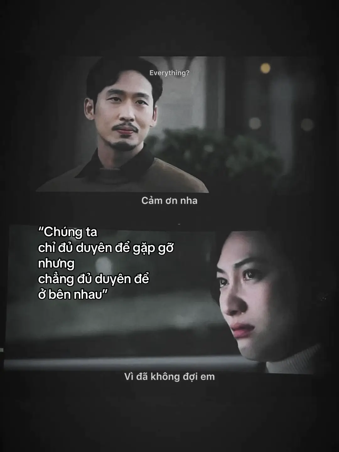 Có những cuộc gặp mang hình hài định mệnh nhưng kết cục lại được định sẵn là chia ly Chúng ta từng có mọi thứ trừ tương lai Từng đi bên nhau nhưng không thể cùng nhau đi tiếp Từng nắm tay thật chặt nhưng vận mệnh thì lại buông quá nhanh Em không trách anh không trách cả đất trời Chỉ trách thời điểm ta gặp nhau quá đẹp để rồi khi rời đi nó hoá thành một vết xước không bao giờ lành trong ký ức… #xuhuong #fyp #viral #tamtrang #foryou #xh 
