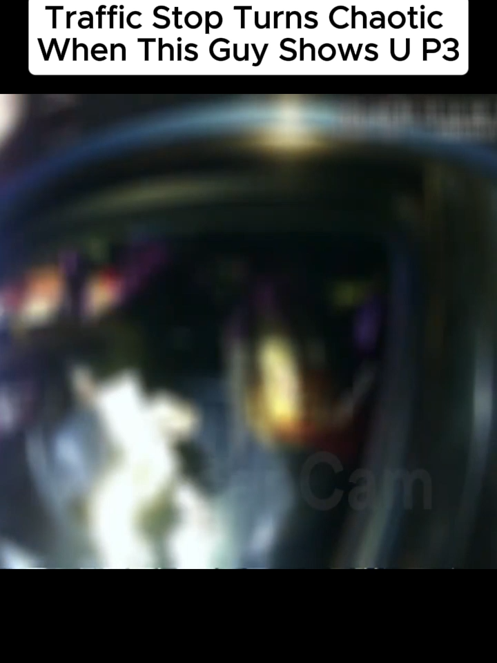 Traffic Stop Turns Chaotic When This Guy Shows Up#fyp #cops #police #bodycam #viral #trending #fy