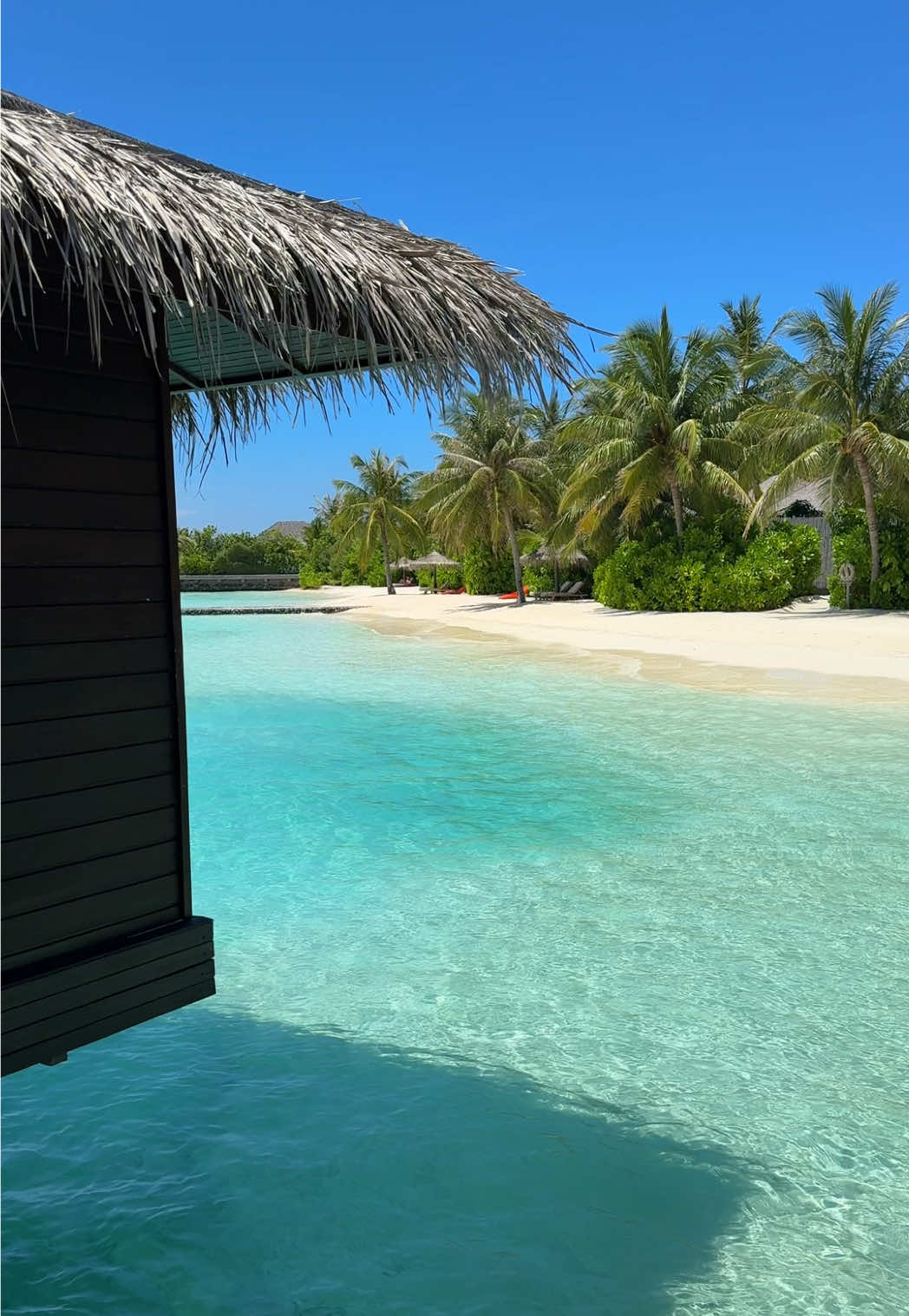 and then you found paradise 🌴 - #maldives #relaxingvideos #relaxing #relaxation #malediven #maldivesviews #maldivesluxuryresorts #maldivesluxury #maldiveslove #maldivesresorts #luxurytravel #travelcontentcreator #travelcontent #hotelcontent #hotelcontentcreator #luxurytravelcreator 