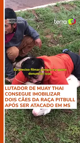 O lutador de muay thai Ernesto Chaves conseguiu imobilizar dois cães da raça pitbull após ser atacado em Ponta Porã, no Mato Grosso do Sul. O caso ocorreu no domingo (29), enquanto o profissional fazia uma corrida matinal rumo a uma academia. #TerraBrasil #TerraNotícias #MuayThai #Lutador #ArtesMarciais #Cachorros #Pitbull #TikTokNotícias