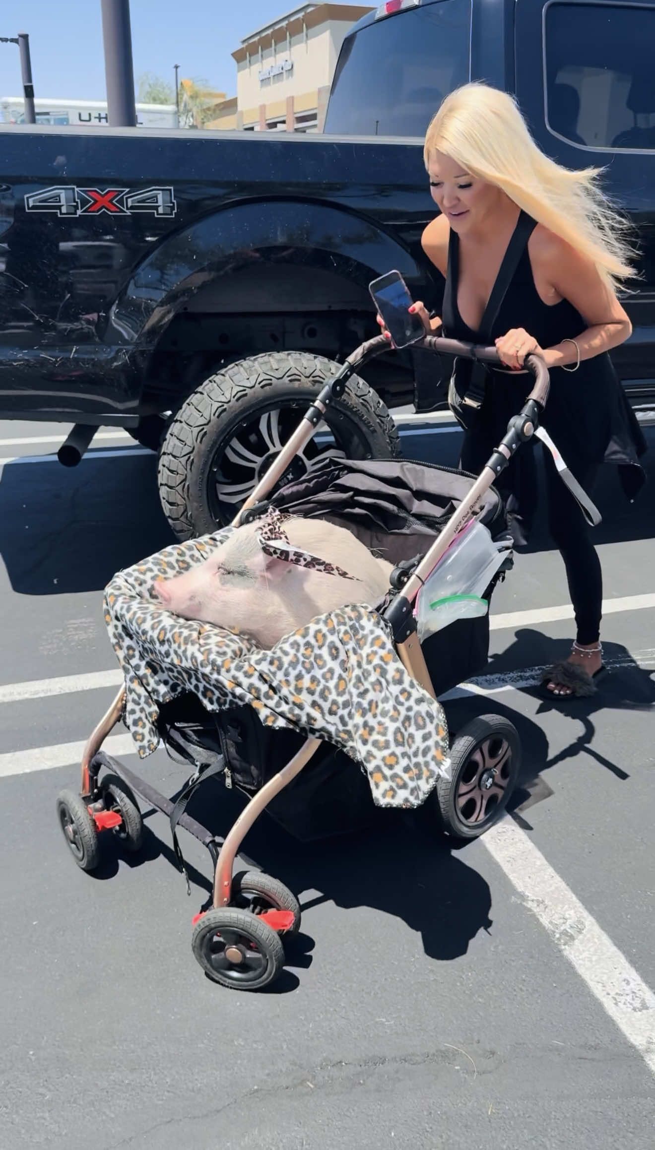 We took Daisy to @Ulta Beauty and she couldn’t stop licking her lips… which we can only assume means she’s ready for a collab. 💅🐽 Let’s talk, Ulta. @marcus_tinsley_ @jaceytinsley  #animallovers #foryourpage #vegan #PetsOfTikTok #funnyvideos 