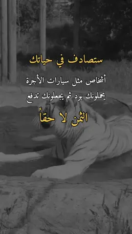 ستصادف في حياتك #همس_الوفــَّــــآء #اكسبلووووورررر #اعادة_النشر🔃 
