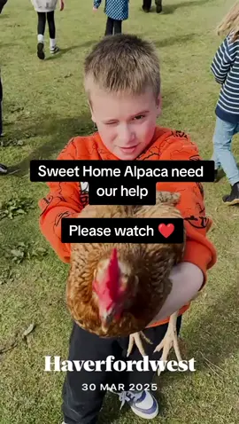 @Sweet Home Alpaca  My heart is breaking for you at this time 💔😭  go fund me page - https://gofund.me/b94aa193