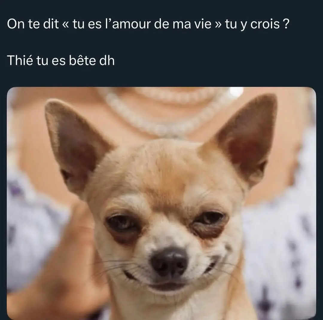🫣🫣🤭🤭🤭🤣🤣🤣🤣🤣