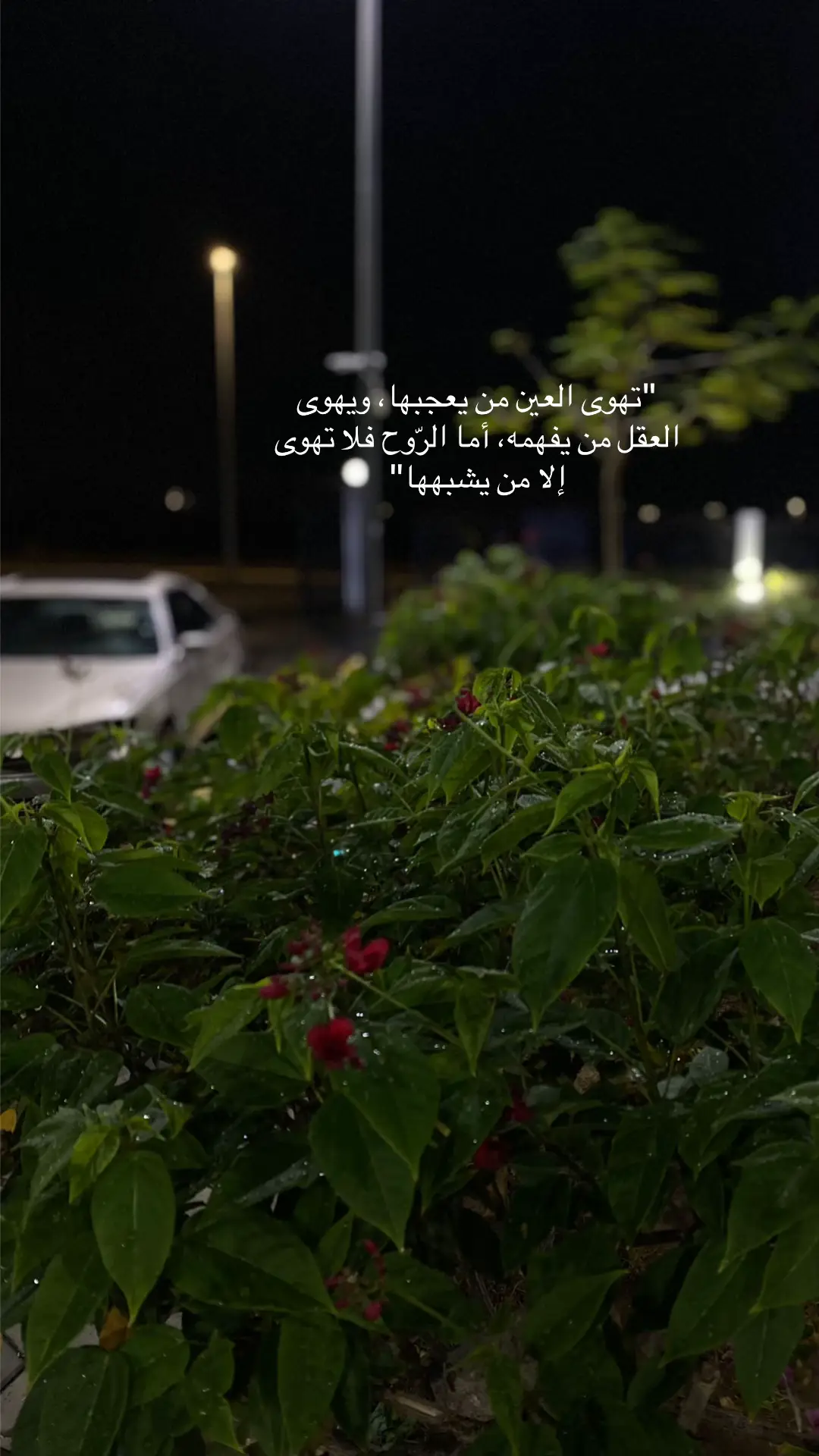 #اكسبلورexplore #اقتباسات #تصويري #مشاعر #فضل_شاكر_🎶🎵🎤🔚 