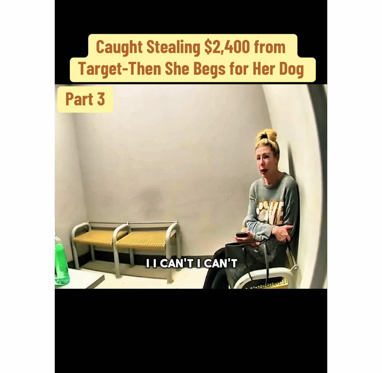 Caught Stealing $2,400 from Target-Then She Begs for Her Dog #cops #copsoftiktok #law #bodycam #case #trending #viral #steal 