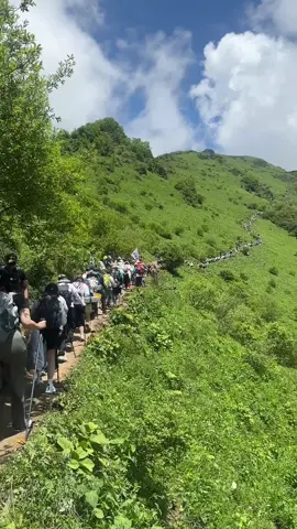 逃离城市 #lttmina #mina_vlog #fyp #viral 