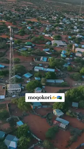 moqokori isha hala ga haayo xawadlow🇸🇧✌️😎🦁