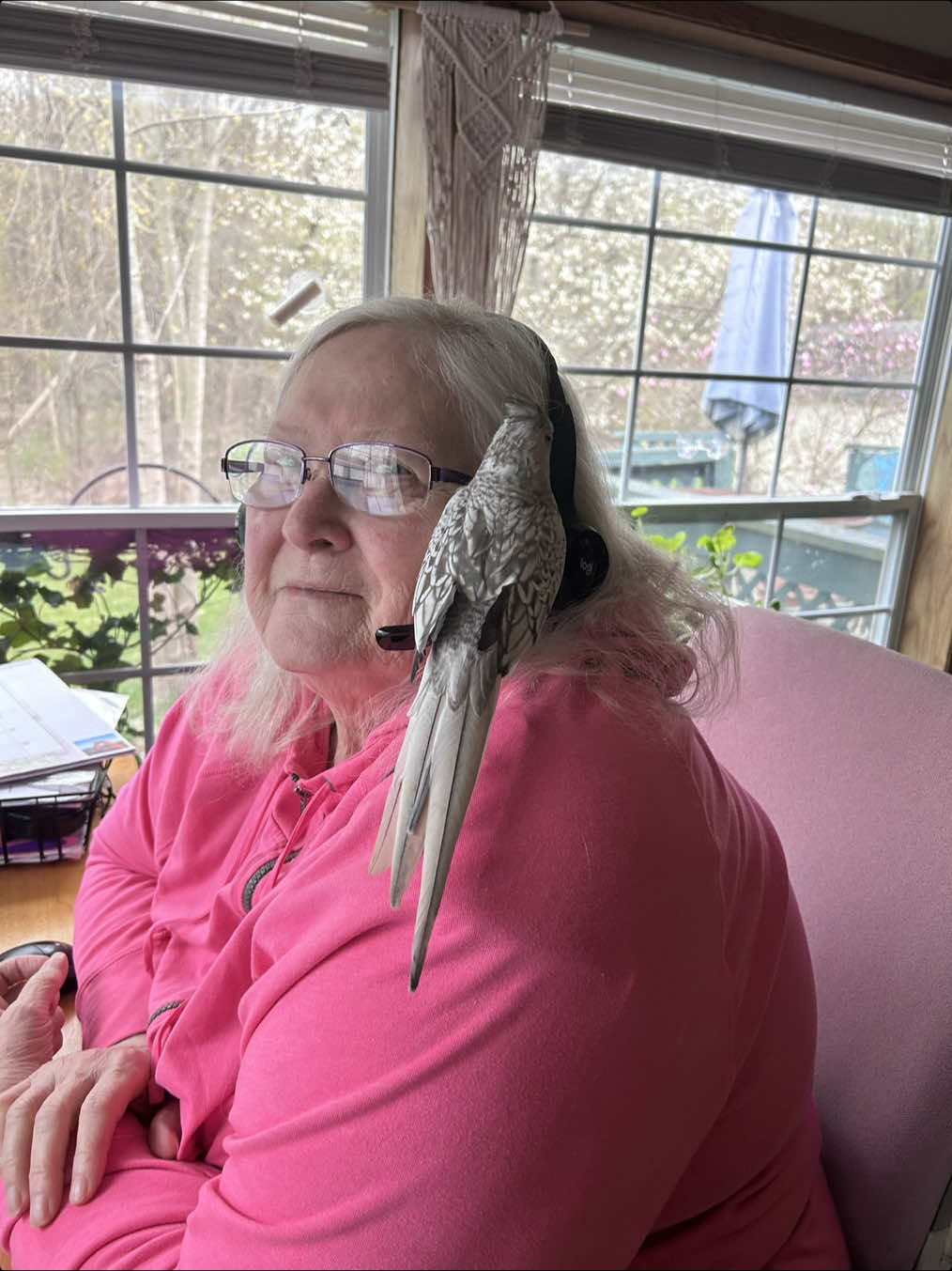 I never thought a bird would break my heart the way she did .  She was so sick and I spent thousands of dollars just trying to give her a fighting chance . My whole family was angry at me except my grandma who helped me . I took three new credit cards out to just max them all out to help her . Unfortunately it wasn’t enough and she passed away just minutes after I told her she can stop fighting .  Not one day goes by that I regret spending the money on her .🤍🩶 #cockatiel #cockatielsoftiktok #birdsoftiktok #bird #birds 