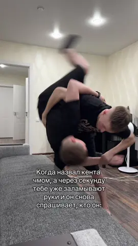 Тгк: мечта идиота
