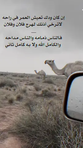 #عذب_القصيد#اقتباسات_عبارات_خواطر#الحمدالله_علی_کل_حال❤#اكسبلورexplore 