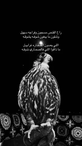 راع القنص مسجون وفراجه سهيل ‏وشلون ما يبغون شوفـه يشوقـه ‏اللي يعـدون الصقـاره غرابيـل ‏ما ذاقوا اللي فالصحـاري نذوقـه#صقر #شعر #محمدبن_فطيس#