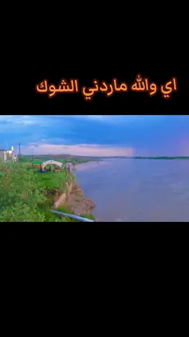 #عاده_نشر_فيديو🔄 #الگياره_جنوب_الموصل #صعدو_الفيديو #مالي_خلق_احط_هاشتاقات🧢 #قاطع_السبعاوين_المكوك_خباطه_الدويزات #المكوك_قاطع_السبعاوين_ناحيه_القياره، #الحود_تلول_ناصر_سفينه_الحاج_علي_الزاكه_ #المكوك_قاطع_السبعاوين_ناحيه_القياره، #الحود_تلول_ناصر_سفينه_الحاج_علي_الزاكه_ #الحوبجه_دارالعز #السفينه  #مالي_خلق_احط_هاشتاقات🧢 