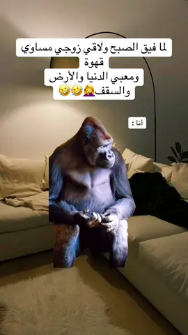 #MemeCut #تصميم_فيديوهات🎶🎤🎬 #الشعب_الصيني_ماله_حل😂😂 #ضحك #اكسبلور #Meme #MemeCut 