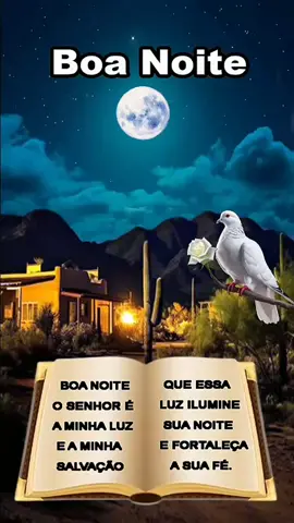 Boa Noite! Que o Senhor Jesus Te Abençoe e Te e Guarde. 🙏🏻🙌🕊😇 #boanoite #motivação #oração #mensagemdereflexão #mensagemdefe #deusnocomando 