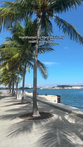 living by the water healed something in me #miami #healing #miamilife 