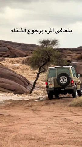 #ربع#الشتاء#البكيريه_القصيم 