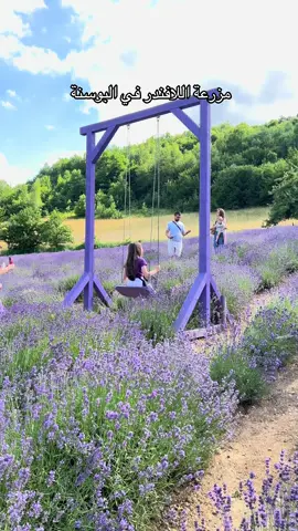 ⁨	مزرعة اللافندر في البوسنة 🇧🇦 بمنطقة فيسكو 📍 تبعد عن سراييفو تقريباً نص ساعه  المزرعة وايد حلوة وانصحكم فيها …. 👌🏻✨ تفتح من الساعه ٨ صباحاً حتى الساعه السادسه مساء 🕔 عندهم ريوق تركي مع خبز حار فرش  بالاضافة الى الحلويات🍰 والشاي☕️ والقهوة  كنا بنجرب كيكة اللافندر مشهورين فيها 💯 بس ماشاء الله كان وايد زحمة وخلصت  بإذن الله نروح لها مره ثانيه ونجربها 😍 تفاصيل المزرعه تحصلونها في الهايلايت  الموقع : lavfarme 📍⁩ #ام_عبدالرحمن_البوسنة🇧🇦 