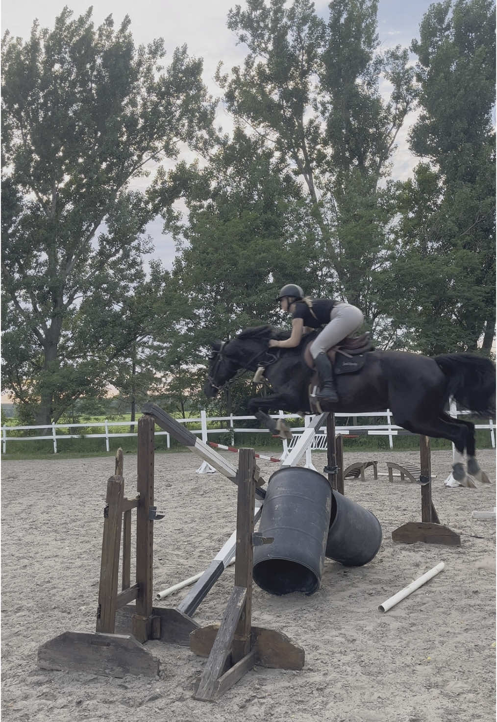 Clip from last week🤍#dutchwarmblood #grandprixhorse #jump #fyp #jump #blackgelding 