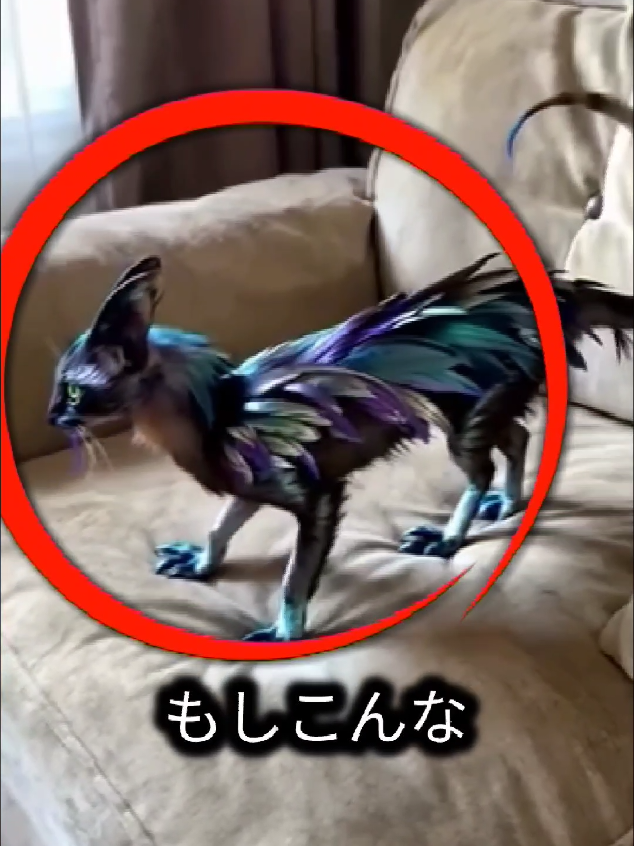 こんな猫をリビングで見かけたらヨシヨシしてあげて！#雑学 #未確認生物 #未確認生命体 #つなさら #ネコ #猫 #ねこ