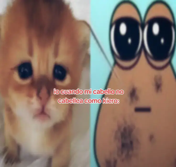 ola tiques no se q subir,aiudaa,hace como años q no subo ni un coso#oña #saquenmedelflop #iokuando #iocuando #micabello #piojos #liendres #shampoo #pou #fyp #basta