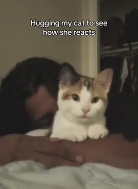 Hugging my cat #fyp #alt #cats #cars 