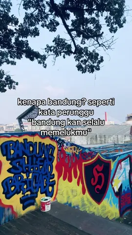 kenapa?#bandung #fyp #lewatberanda #perunggu #iniabadi #dump #foryou #xybca 