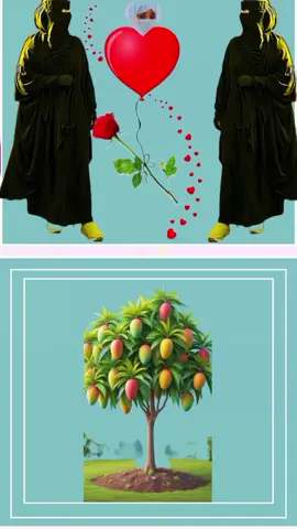 #ፍቅር➻ብቻ🖇ፍቅር➻ብቻ❤🥀🔐 #ፍቅር➻ብቻ🖇ፍቅር➻ብቻ❤🥀🔐 @ሱፍይነቴ ኩራቴ💯🧕💚 @ዱንያ short ላይፍ @ሱፍይነቴ ኩራቴ💯🧕💚 