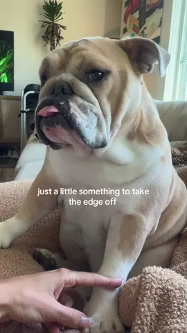 :P