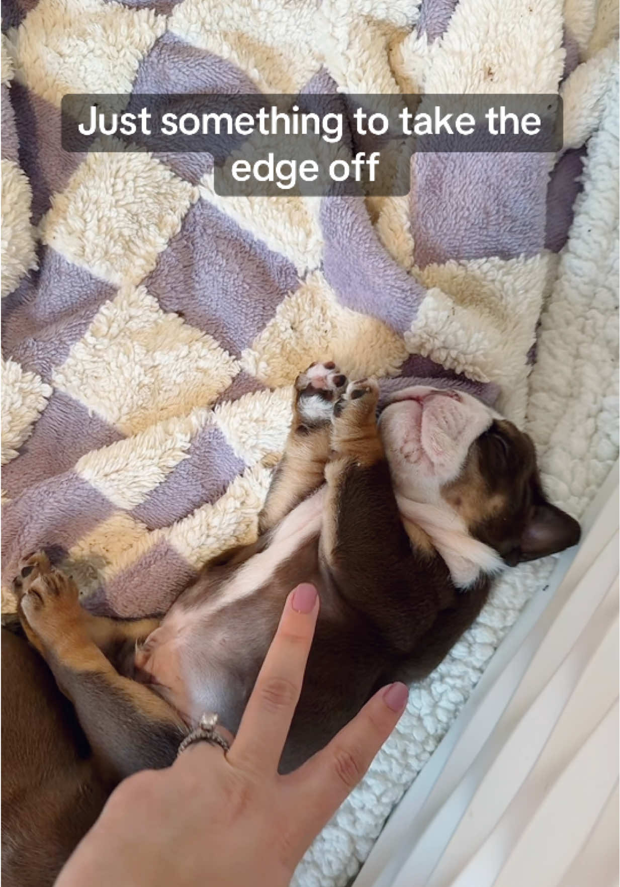 Just something to take the edge off….