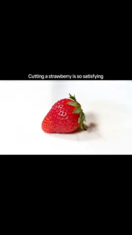 #everyone #followers #tiktok #viral #fypagee #viralvideo #foryourpage #fyp #fypシ゚viral #asmr #cut #straberry 