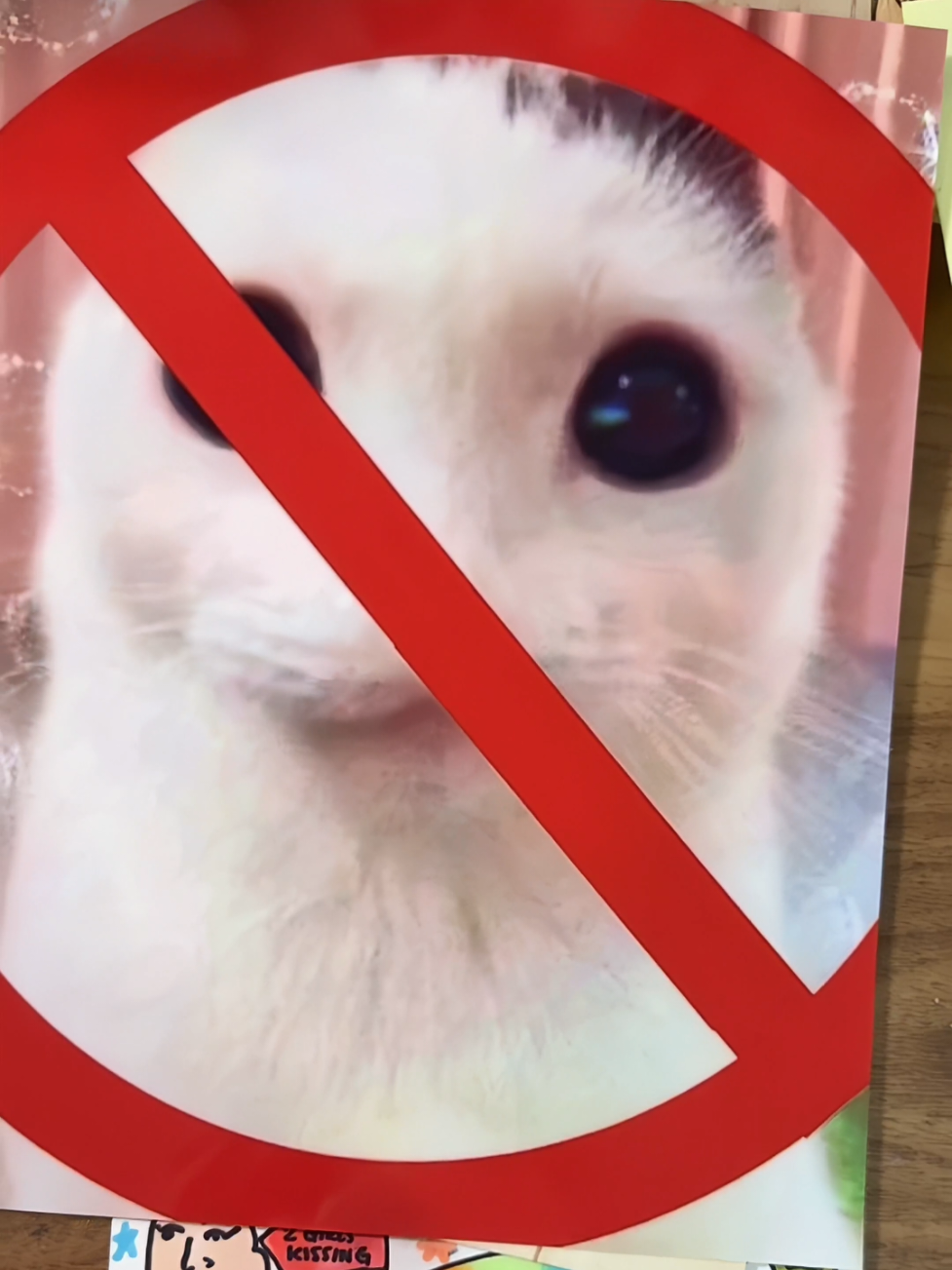 Who did it 👹👺👹👺👹👺 #customwoodburning #customwoodburningboss #cwbpobox #ifeelsosigmaandawwwwww #cwbcat #poboxunboxing #fanmail #pranks #whodidit #OhNo #fypシ #viralvideo #trendy 