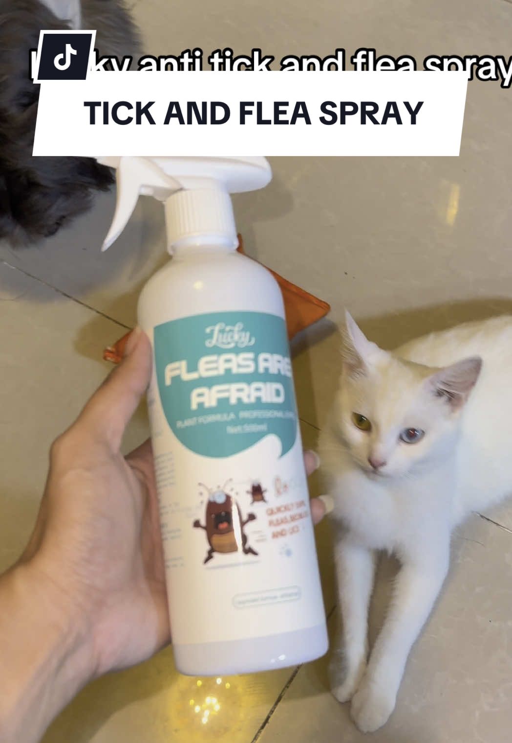 Pet Fleas and Ticks Remover for Household Anti Tick and Flea Spray for Dogs Cats ✨ #petspray #antitickandfleaspray #fleaspray #dogspray #catspray #petskintreatment 