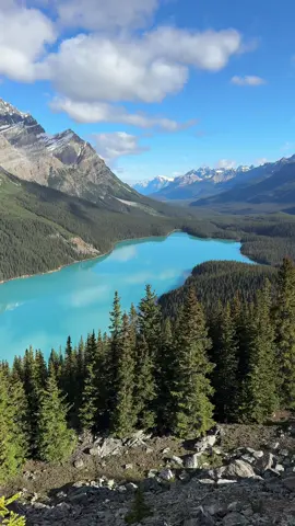 There’s NO filter or edits on this video at all and it’s even more beautiful in person 🤯🤯🤯 💜Follow @KatieOSheaAway for all the specific details you need to plan your dream trips! 📍Peyto Lake, Alberta, Canada  Yes, the lake really is that blue and was so incredible! The color comes from glacier rock flour suspended in the water, and it’s one of the most surreal sights we’ve ever seen. 🚘 How to get there: Just 30 minutes from Lake Louise in Banff National Park off the Icefields Parkway — a bucket list drive itself! There's a dedicated parking lot for Peyto Lake and a short paved path to the main platform viewpoint. Come early for fewer crowds!  📸 Pro tips: ✔️ Come early or late in the day for fewer crowds ✔️ Combine with stops at Lake Louise & Moraine Lake ✔️ Bring a wide-angle lens — the viewpoint is expansive ✔️ Pack layers — weather can shift quickly, even in summer! 💌 SHARE this with someone who would plan an entire trip around this view! 😍  💬 Comment “SHOP” and we’ll DM you the info on our hiking gear for this trip! 💜Follow @KatieOSheaAway to turn your bucket list into reality! #banffnationalpark #canadianrockies #bucketlisttravel #peytolake #banfftravel #albertacanada #travelcanada #lakelouise #nofilter 