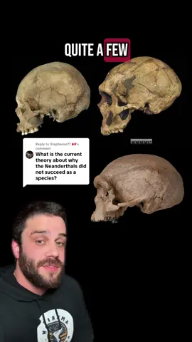 Replying to @Stepharoo77 🇨🇦 Why are we the last human species? #sciencetok #evolution #LearnOnTikTok #science #scienceteacher #neanderthal #origins #paleontology #archaeology #mystery 