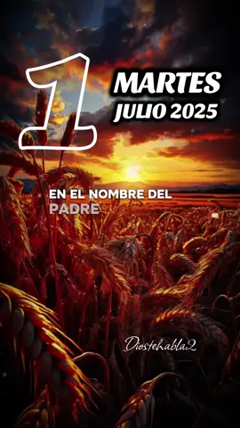 En el nombre del Padre, del Hijo y del Espíritu Santo. Hoy es martes 1 de julio, el primer día del mes.#amén #fe #dios #martes #julio #oraciondelamañana #oracionespoderosas #buenosdias #reflexion #motivacion #fyp #parati 