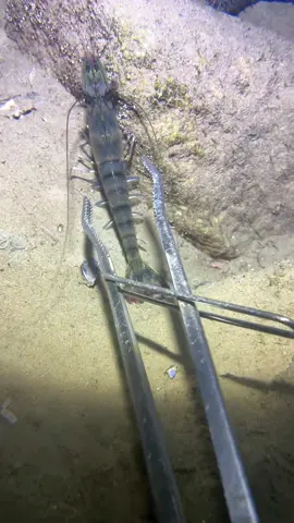 Fishermen rush to the sea at the bottom of the sea to catch sea goods