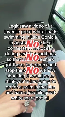 Forever wondering what’s swimming under me! 😱🦈 #mandimellen #horrortok #sharksoftiktok #horrorstories 