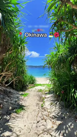 Places you would never know 😨✨ The last one doesn’t look like Japan! #adventure #japan #traveling #explore  🎵 Robin Schulz - Old Friend 