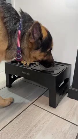 Tired of your fur baby eating like it’s a race? 🐾 The Goyjoy slow feeder is a game changer! Less gulping = happier tummies AND LESS MESS! 🐶💧 #therealjasminer #fyp #tiktokshopcreatorpicks #tiktokshopmademebuyit #TikTokShop #DogMomLife #PetTok #SlowFeederBowl #DogBowls #Goyjoy #PetEssentials #DogCareTips  #DogLovers #FurBabyApproved #TikTokPets #PetProductReview #goyjoyfeeder @GOYJOY #petlife #cozyvibes #pettok #dogtok 