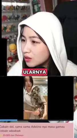 pegang uler bang upi #nastasiaadelinee #luthfihalimawan 