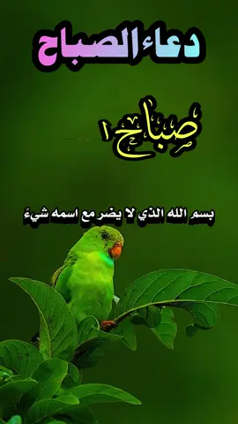 دعاء الصباح اللهم إني أسألك الثبات في الأمر  وأسألك العزيمة على الرشد وأسألك شكر نعمتك وحسن عبادتك  وأسألك قلبا سليما ولسانا صادقا وأسألك من خير ما تعلم وأعوذ بك من شر ما تعلم وأستغفرك لما تعلم، إنك أنت علام الغيوب #صباحكم_أحلى_صباح #صباحكم_معطر_بذكر_الله #صباح_الورد #صباح_الخير #صبحكم_الله_بالايمان_وطاعة_الرحمن 