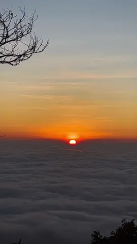What This is Mennn 😳😳😱 Alam itu sadar akan kebesarannya, sedangkan kita itu kecil di mata alam. PANDERMAN IS BERYY BEAUTYFUL  #gunung #gunungpanderman #sunrise #sunrisemusic #pendakigunung #gunungindonesia #mountain #lautanawan 