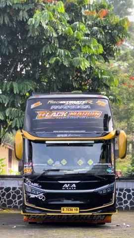 Termaya maya🤤#videobus #akawisata_official #fyp #viral #basurihorn #basuri #busmania  @saya_tobib  @Beh iman blackmarlin022  @AKA_WISATA_GANK  @AKA WISATA 
