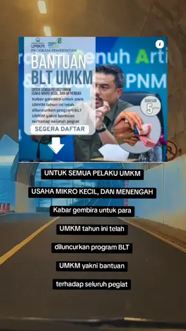 Program pemerintah bantuan BLT UMKM  #umkmindonesia #umkm #bantuanpemerintah #bantuan #umkm2025 #fyp #fypシ゚viral 