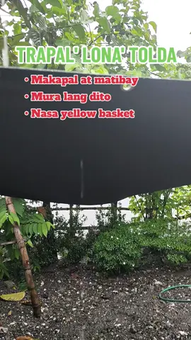 Murang trapal dito sa tiktok, Makapal at Matibay... #trendingtrapal #trendingtrapalwaterprooftarpulin #makapalnatrapal #makapalnalona #matibaynatrapal #matibaynalona #tolda #waterprooftrapal 